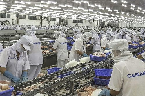 Thu hút lao động tại chỗ: Hiệu quả, ổn định lâu dài