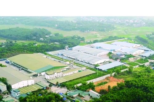 Doanh nghiệp Nhật Bản đầu tư gần 500 tỷ đồng xây nhà máy ở Tuyên Quang
