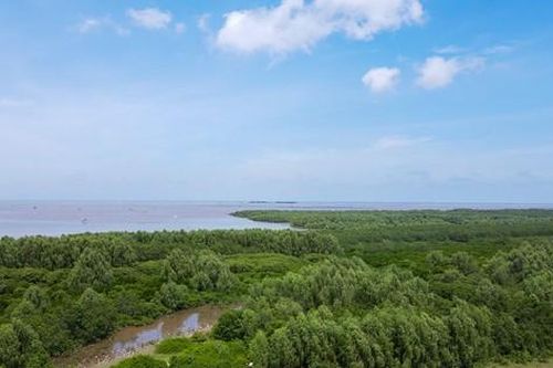 Thái Bình giữ lại 12.500ha Khu bảo tồn Tiền Hải
