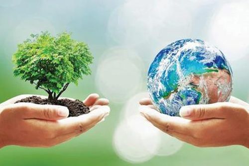 Tăng cường hợp tác quốc tế trong bảo vệ môi trường