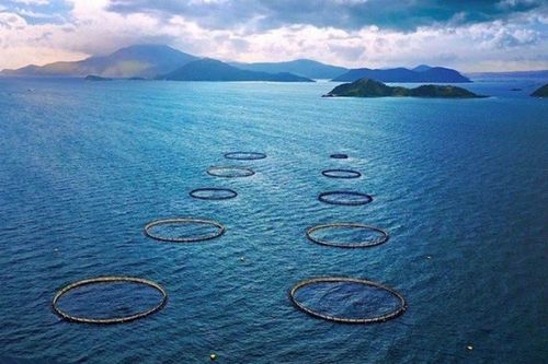 Gặp gỡ Indonesia năm 2024 tổ chức tại Khánh Hòa