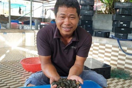 Anh nông dân lãi tiền tỷ mỗi năm nhờ nuôi con đặc sản 'thích phơi nắng'