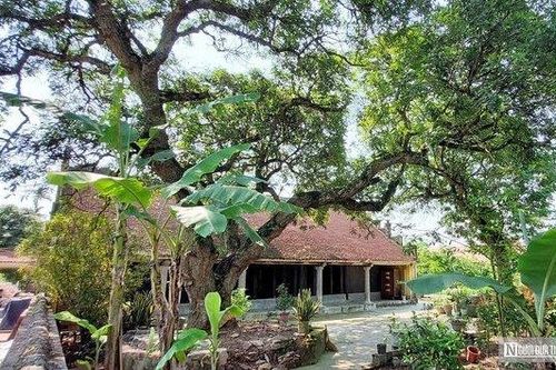Ngôi chùa lưu giữ hai bảo vật quốc gia ở Hải Phòng