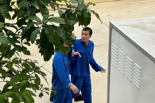 Bình Thuận: Xét xử vụ án rượt đuổi, đâm người trên xe mô tô gây tử vong