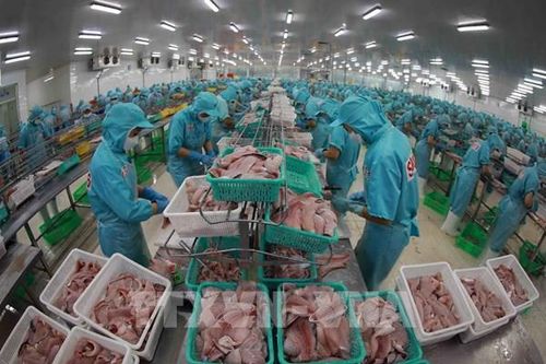 Đồng nhất, đồng chất sản phẩm xuất khẩu