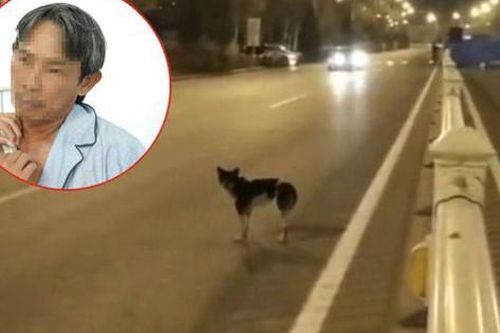 Chó bất ngờ băng sang đường khiến người đàn ông bị gãy xương đòn