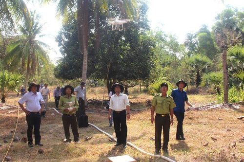 Phát huy vai trò lãnh đạo của Đảng trong bảo vệ, phát triển rừng