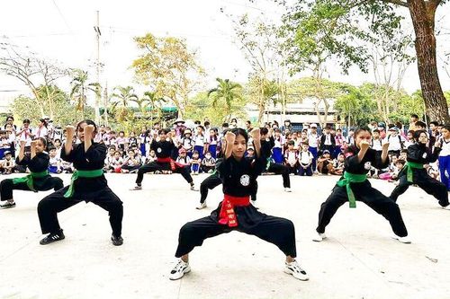 Ươm mầm võ thuật miền quê