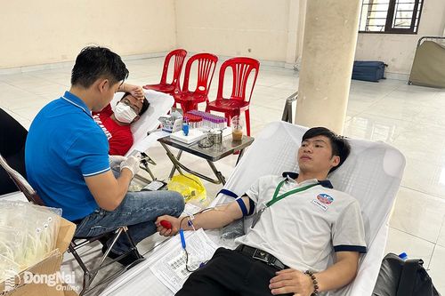 Khắp nơi trong tỉnh chiều 6-3-2024