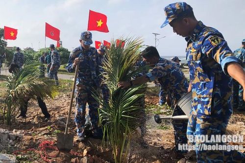 Nhân lên những mầm xanh trong gió cát