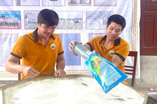 Phát triển đa dạng loại hình kinh tế hợp tác xã
