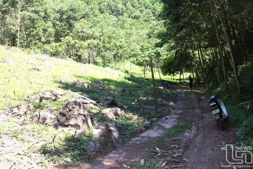 Khó khăn trong xử lý rác thải sinh hoạt ở Võ Nhai