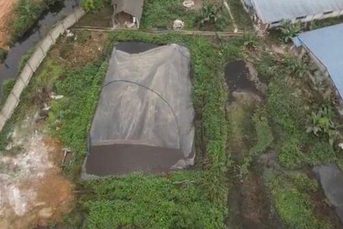 Thái Nguyên: 27 trang trại chăn nuôi chưa hoàn thiện Giấy phép môi trường