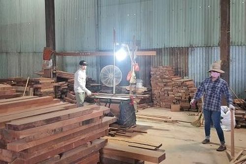 Hoa Kỳ giúp Việt Nam tăng khả năng chống buôn bán gỗ trái phép