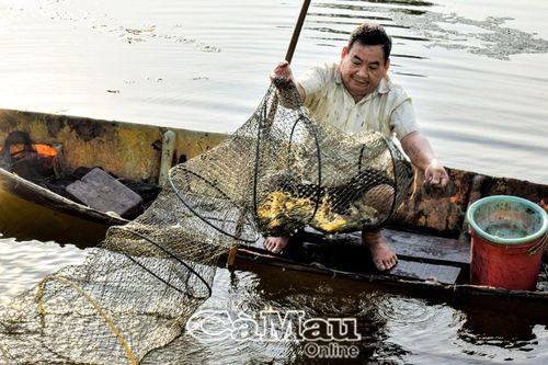 Hiệu quả từ chế phẩm sinh học