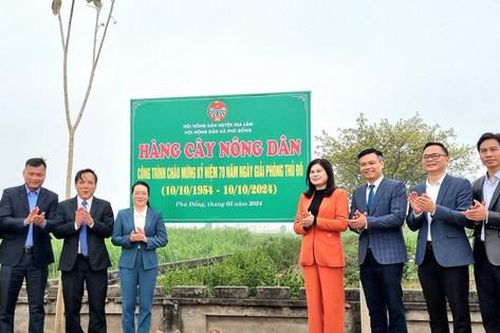 Nông dân Gia Lâm vun đắp môi trường xanh