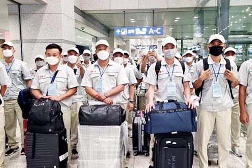 Xuất khẩu lao động sang Nhật Bản tăng mạnh