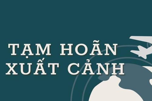 Tạm hoãn xuất cảnh lãnh đạo doanh nghiệp nợ 48 tỷ đồng tiền thuế ở Vĩnh Phúc