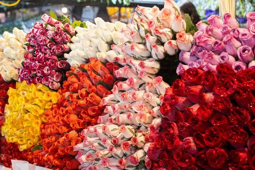 Giỏ quà hoa kết hợp trái cây hút khách ngày 8-3