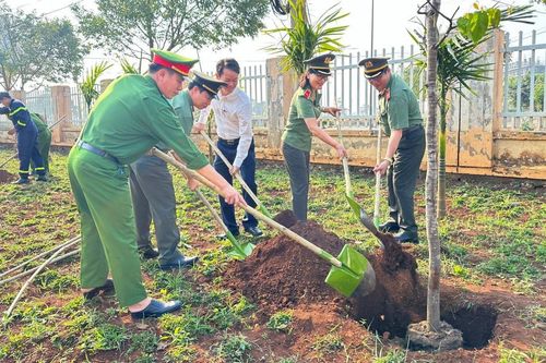 Đắk Lắk: Phát động Tết trồng cây đời đời nhớ ơn Bác Hồ