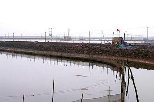 Nam Định: Tăng cường công tác quản lý đất bãi bồi ven sông, ven biển