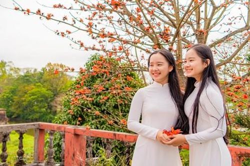 Xao xuyến sắc đỏ hoa gạo giữa trời xuân xứ Huế