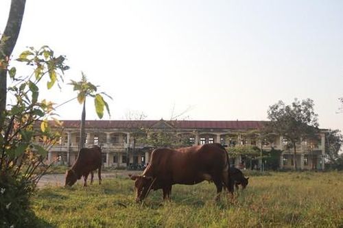 Sau sáp nhập, nhiều trụ sở, trường học vẫn đang bỏ hoang