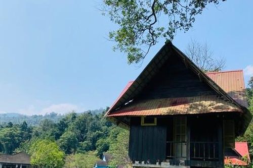 Bên trong khu du lịch sinh thái bỏ hoang giữa rừng ở Hà Tĩnh