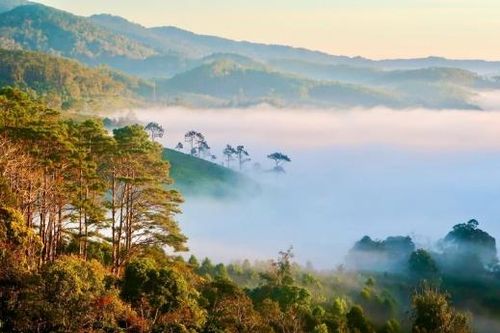 Măng Đen bồng bềnh trong mây