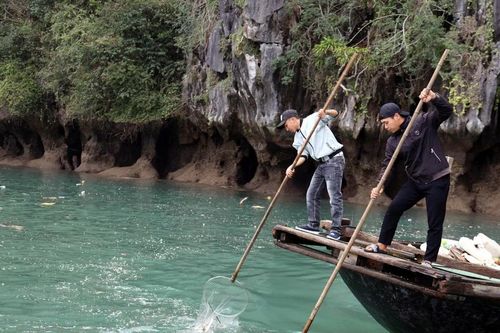 Đẩy mạnh việc thu gom rác, làm sạch môi trường Vịnh Hạ Long