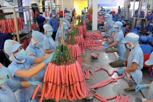 Hơn 520 doanh nghiệp đạt chứng nhận hàng Việt Nam chất lượng cao năm 2024