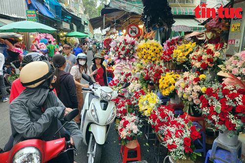 Chợ hoa lớn nhất TP Hồ Chí Minh nhộn nhịp trước ngày 8/3