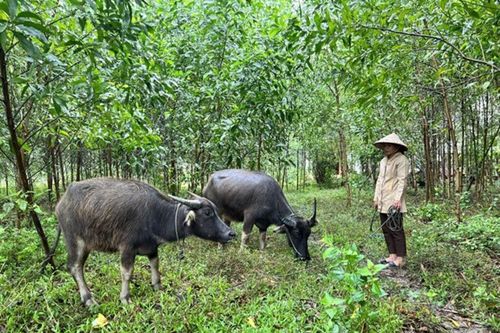 Quảng Trị: Đầu tư trên 188 tỷ đồng cho vùng đồng bào dân tộc thiểu số và miền núi