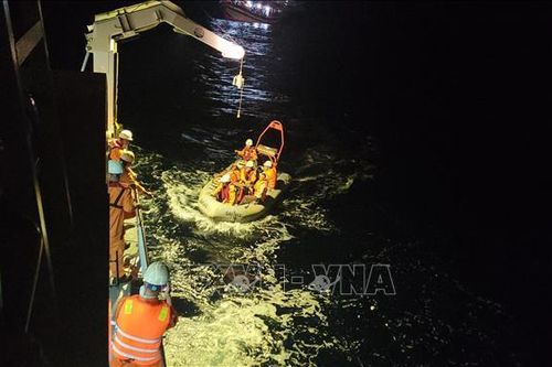 Đưa về bờ an toàn thuyền viên bị lật thúng trên biển