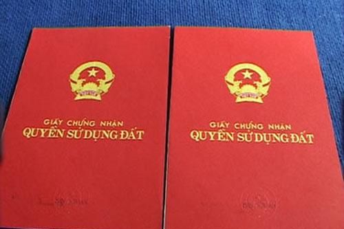 Làm giả sổ đỏ đứng tên mẹ ruột để lừa đảo chiếm đoạt 3,3 tỷ đồng