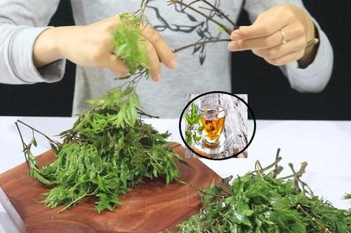 Loại lá quen thuộc mọc bạt ngàn ở Việt Nam được ví như 'nhân sâm của người nghèo'
