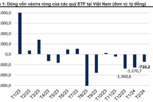 Trái với kỳ vọng, khối ngoại và ETF tiếp tục rút ròng mạnh gần 4.000 tỷ trong 2 tháng đầu năm