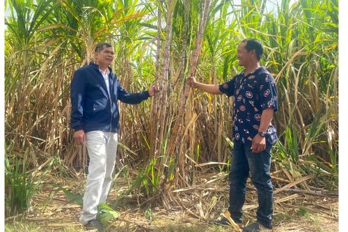 Kông Chro: Đồng bào Bahnar thi đua sản xuất kinh doanh giỏi
