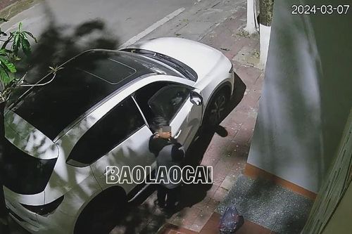 Bắt đối tượng trộm cắp tài sản trong xe ô tô