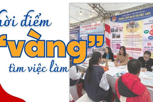Thời điểm 'vàng' tìm việc làm