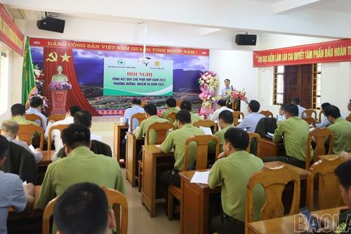 Triển khai công tác phối hợp về quản lý, bảo vệ và phát triển rừng trên địa bàn tỉnh