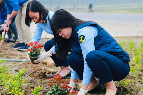 Tuổi trẻ QLTT Thái Nguyên sôi nổi ra quân hưởng ứng Tết trồng cây năm 2024