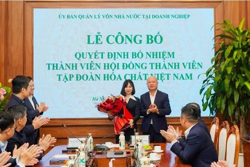 Công bố Quyết định bổ nhiệm Thành viên HĐTV Tập đoàn Hóa chất Việt Nam