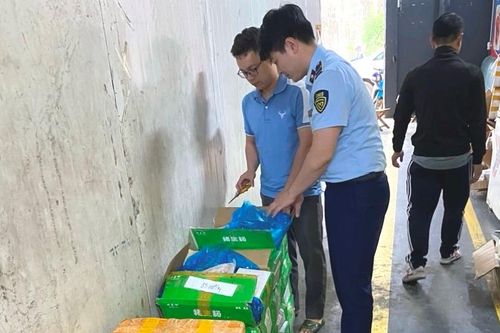 Cục QLTT Nghệ An: Phát hiện 280kg tràng lợn đông lạnh nhập lậu