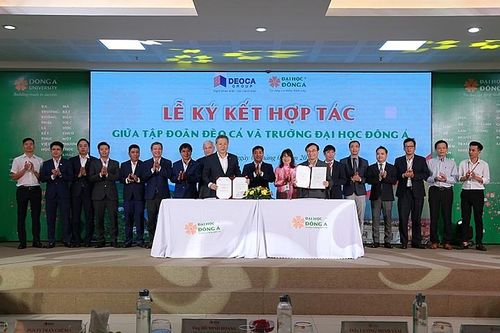 Sẽ thành lập Viện Đào tạo thực hành Đèo Cả