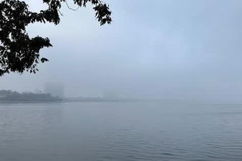Thích nghi để sống chung với 'sương' mịn