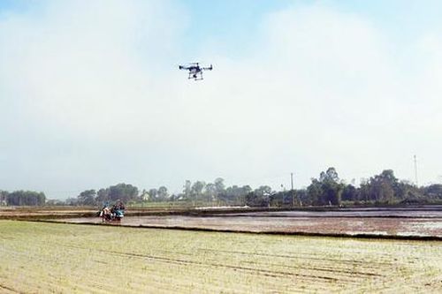 'Bắt sóng' công nghệ cao, nông dân cùng HTX làm giàu 'nhàn tênh' trên những cánh đồng lớn