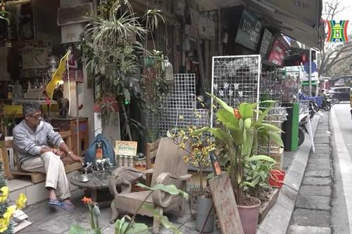 Sống ở nhà mặt phố
