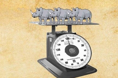 Trong 10 giây bạn có giải được câu đố đuổi hình bắt chữ này