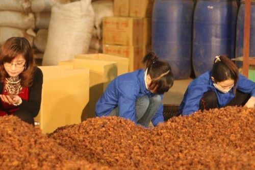 Trắng tay vì 'sập bẫy' lừa đảo giao dịch quốc tế